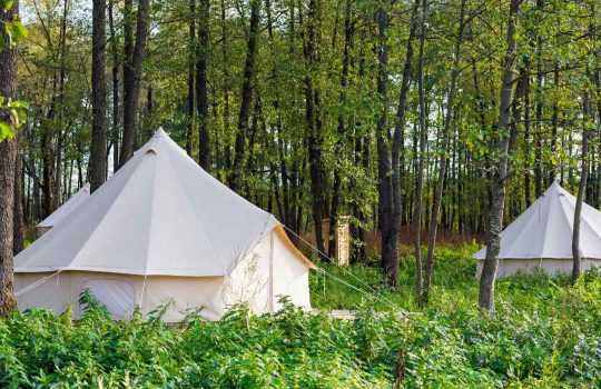 אוהלי גלמפינג2